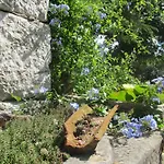 Botanica