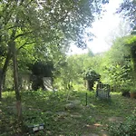 Botanica