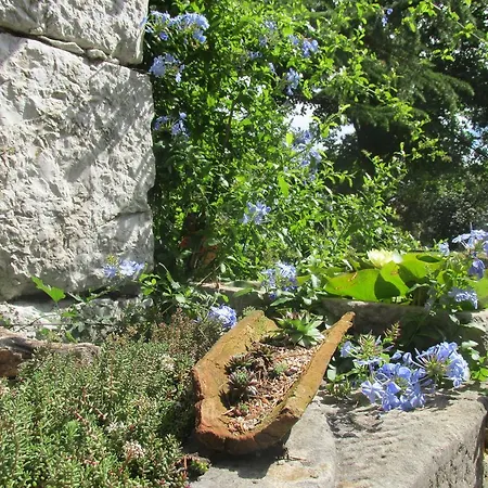 Botanica