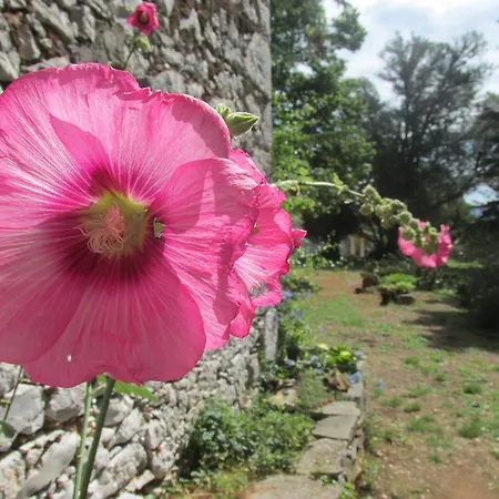 Botanica Tatil Evi