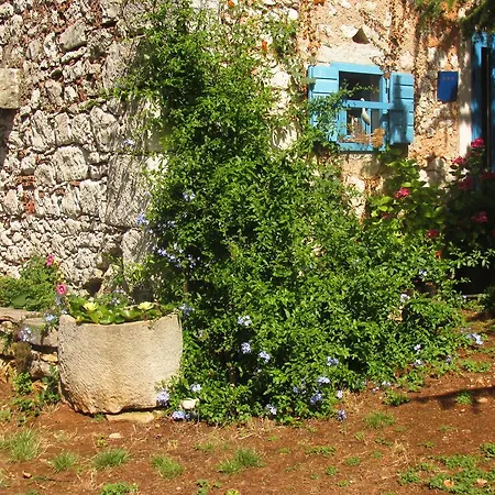 Botanica Σπίτι διακοπών