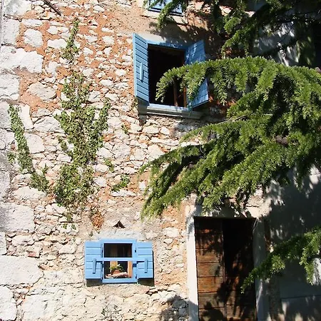 Botanica * Drenje (Istria)