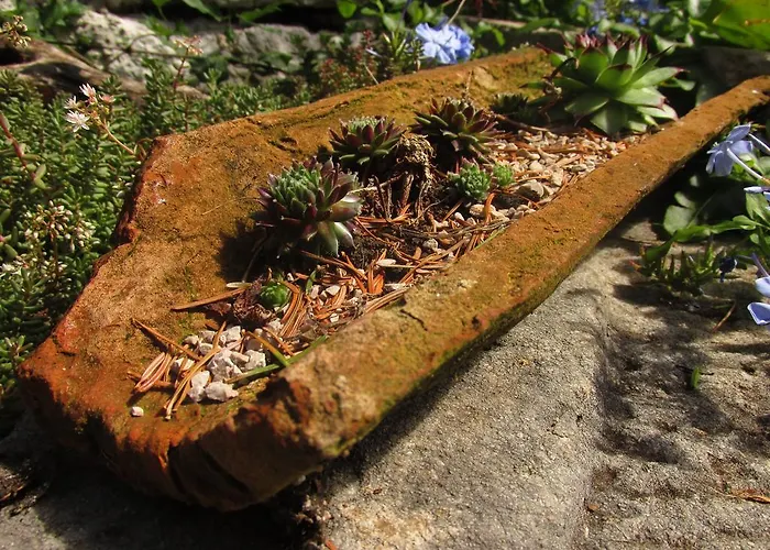 Botanica Drenje (Istria)