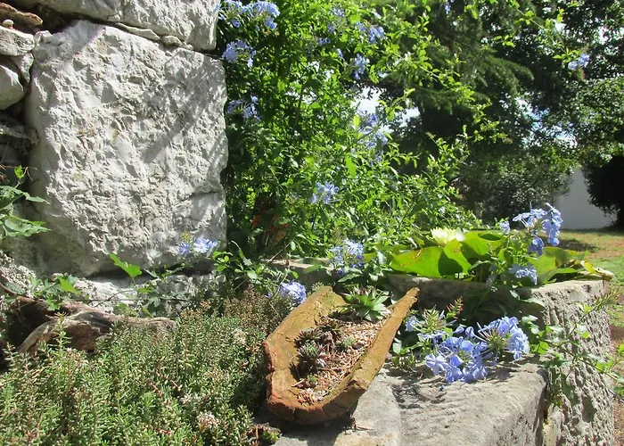 Botanica