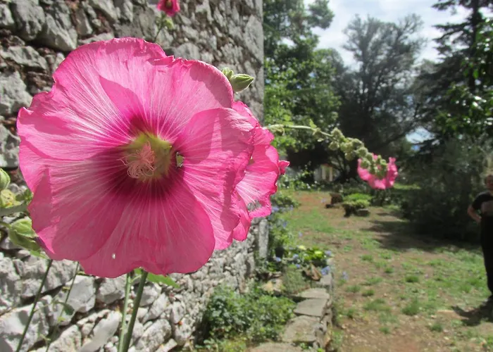 Botanica Σπίτι διακοπών