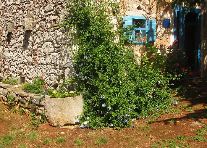 Botanica Σπίτι διακοπών