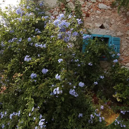 Holiday home Botanica